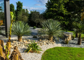 Plantation végétaux