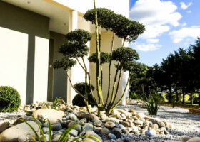 Plantation végétaux