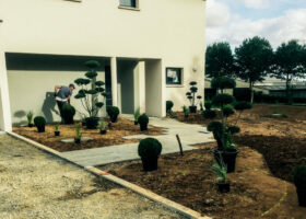 Plantation végétaux